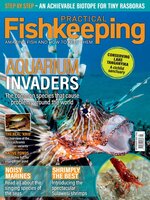 Practical Fishkeeping